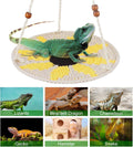 Jspupifip Reptile Hammock Bearded Dragon Accessories Reptile Summer Bed
