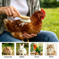 3 Pack Soft Wool Grooming Brush & Massage Comb Set for Small Pet