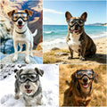 Dog Goggles Medium Breed Windproof Anti-Fog Dog Sunglasses Clear View Dog Glasses for Walks/Car Rides/Motorcycle Riding/