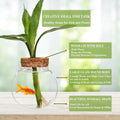 Small Betta Fish Tank Glass Fish Bowls for Betta Fish Goldfish, Aquaponic Fish Tank and Plants Cuttings Planter Terrariu