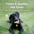 PetArmor Hot Spot Skin Remedy for Dogs, 4 oz