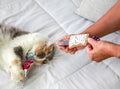 Quirky Kitty Flingin Purr Tarts Catnip Filled Interactive Cat Toys, 2 Pack