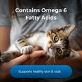 PetAg KMR Healthy Development - 14 oz, Pack of 2 - Great Tasting Nutritional Supplement for Cats and Weaning Kittens