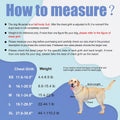 Doglay Dog Life Jacket with Double Rescue Handles, High Flotation Dog Life Vests for Swimming, Reflective Swimming Vest Safety Lifesaver for Small Medium Large Dogs