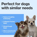 Doctor By Breath Care for Small Dogs, Bronchial & Respiratory Support
