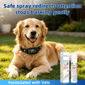 Citronella Spray Refill 2 Pack 3oz 85g Can with Most Citronella Bark Collar