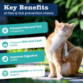 Flea Treatment for Cats-300 Treats Natural Flea and Tick Prevention for Cats Chewable, Itchy Skin &Biting Relief Immune 