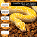 ReptiChip Reptile Bedding Loose Coconut Chip 12 Quart Coco Husk Substrate Mulch for Snake Habitat, Ball Python Terrarium