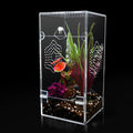 Acrylic Jumping Spider Enclosure, Secure Front Opening Door, 4x4x8 inch, Ventilated Habitat for Tarantulas, Mantis, Herm