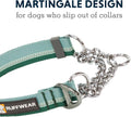 Ruffwear, Chain Reaction Martingale Dog Collar