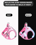 JUFOO XXXS Pink Soft Mesh Dog Harness and Leash Set,No Escape Puppy Harnesses for Training Walking， Reflective Adjustable Puppy Vest for Small Medium Dogs, Cats (Pink, XXXS)