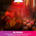 LUCKY HERP Infrared Heat Lamp for Chickens - 250 Watts Red Heat Lamp Bulb 1 Pack, Heat Light Bulb for Brooder Coop, Food