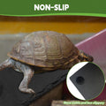 kathson 2 PCS Reptile Basking Platform (15.7 x 11.8 inches), Natural Rock Plate Turtle Food Bowl Feeding Dish Resting Te