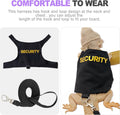 Bearded Dragon Harness & Leash Kit, Escape-Proof Adjustable Lizard Lead for Walking, Fun Costume Accessory