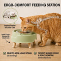 SXKBM 2 Pack Ant Not Cross Elevated Cat Bowls Mess Proof-4 Food Grade Glass Bowls & 2 Lids- No Spill Cat Food and Water Feeding Station for Cats&Puppy Indoor & Outdoor,No Whisker Fatigue Dish,Green