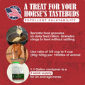 SBS Equine Starting Gate Granules - Horse Stomach Ulcer Treatment & Ulcer Relief, Horse Supplement Formula Scoop for Fee