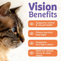 Taurine Liquid Supplement for Dogs and Cats, Support Heart & Vision Health