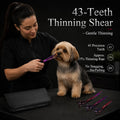 Purple Dragon 8.0 inch Professional Pet Grooming Scissors,Dog Straight Shear, Thinning/Blending Scissor & 2 PCS Curved Shear with Bag (Purple)