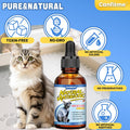 Cat Antibiotic for Infections, UTIs, Respiratory Moments, Cold, & Allergies
