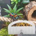 5pcs Jumping Spider Feeding Dish Kit, Jumping Spider Food Feeder Water Bowl
