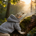 Lizard Clothes for Bearded Dragons Reptile Apparel Handmade Cotton Material Hoodies Gift for Lizards, Bearded Dragons, C
