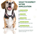 Flea and Tick Prevention for Dogs, 6 Doses Topical Flea Treatment, Helps Control Fleas, Ticks and Lice, for Medium Dogs 23–44 lbs, Waterproof, Fast Acting