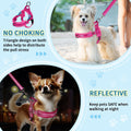 SlowTon No Pull Small Dog Harness and Leash Set with Front Clip