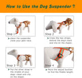 Detachable Suspenders for Dog Diapers, Skirt and Dresses, Pet Diaper Keeper for Small Medium Large Dog