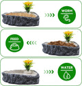 Reptile Corner Food Bowl Water Dish,Snake Feed Dish with Artificial Plant Reptile Water Bowl Terrariums for Bearded Drag