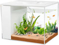 Betta Aquarium 1 Gallon Self Cleaning Small Fish Tank Starter Kit