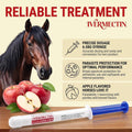 Ivermectin Horse Paste 1.87% – Apple Flavored Oral Horses Dewormer, Treats Equine Up to 1250 LB,6-Pack
