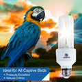 REPTI HOME UVA UVB Light Bulb for Birds 2.4 UVB 20W Compact Flourescent Lamp for All Kinds Captive Birds
