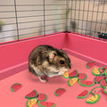 KATUMO Bunny Chew Toys, Natural Rabbit Treats for Guinea Pig