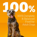 Pedigree Chopped Ground Dinner Wet Dog Food Pouches Variety Pack, 3.5 oz Pouches, 30 Count