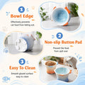 Tioncy 2 Pcs Raised Tilted Ceramic Cat Food Bowl Fish Shape Cute Elevated Slanted Shallow Angled Cat Dish Non Slip Feeder Bowl for Anti-Vomiting and Fatigue (Blue,Orange)