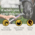 Horse Digestive Support System | Emergency & Daily GI Balance | Probiotic Prebiotic Formula | for Colic Gas Diarrhea & S