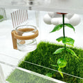 2 Pcs Jumping Spider Feeding Dish, Magnetic Water Bowl, Jumping Spider Enclosure Accessories (Beige)