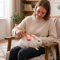 3PCS Bunny Brush Set, Silicone Pet Brush for Grooming, Rabbit Brush For Shedding Grooming, Hair Buster Comb for Small An