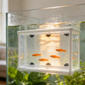 Anxingo 2 Pack Fish Tank Breeder Net,Fish Isolation Breeding Hatching Box, Plastic Frame Hatching Box Separation Net Bre