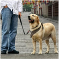 MayPaw Slip Collar Nylon Rope Adjustable Collar for Dog Training- No Pull Round Martingale Dog Collars for Small Medium 