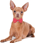 PET SHOW 50pcs Large Dog Bow Ties for Collar Bulk Bowties for Medium Big Dogs Wholesale Dog Cats Collars Attachment Sliders Grooming Accessories