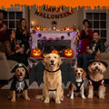 Olanrun Large Dog Halloween Costumes, Adjustable Dog Bat Wings Costumes for Large Dogs with Pumpkin Bell Skeleton Print 