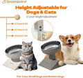 Elevated Cat Bowl with Height Adjustable 0-17.5° Tilt Stand,White