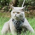 Soft Cat Chest Harness and Leash, Escape-Proof Step-in Lock Kitten Harness, Comfortable Cat Vest with Reflective, Easy t