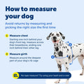 PetSafe Easy Walk Dog Harness