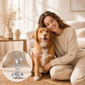 Grevosea 2 Pcs Mini Dog Collar Bells, Silver Cat Bell Pet Pendant Charm