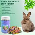 KATUMO Rabbit Chew Toys, 180g Timothy Grass Treats Small Animal Molar Toys for Guinea Pig Hamster Bunny Chinchilla Gerbi