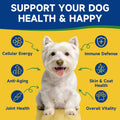 NAD+ Longevity Supplement for Senior Dogs, Vitality, Cognitive Health, 60ML