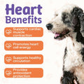 Taurine Liquid Supplement for Dogs and Cats, Support Heart & Vision Health