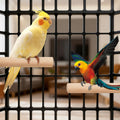 Bird Perch Wooden Parrot Perchs Stand, 4PCS Parrot Perches Toys Wood Perches with Different Widths Bird Cage Toys Cage A
